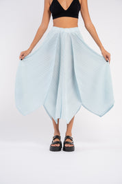Aoto Skirt